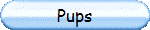 Pups